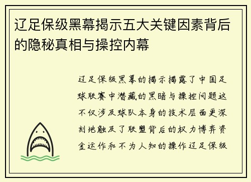 辽足保级黑幕揭示五大关键因素背后的隐秘真相与操控内幕